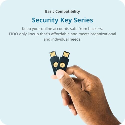 Hand holding two security keys for online account protection.
